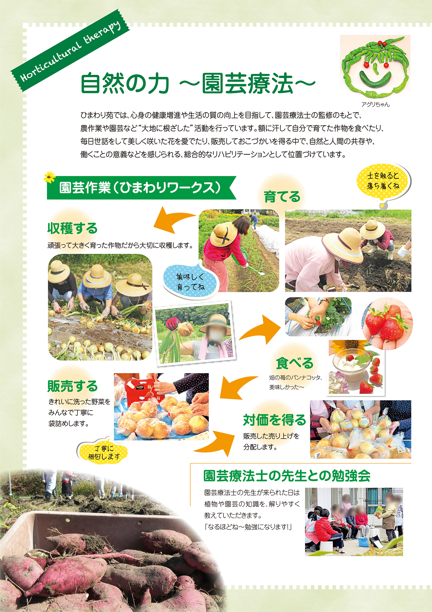 園芸療法 救護施設ひまわり苑